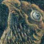 �长�a����`���W�[���Y